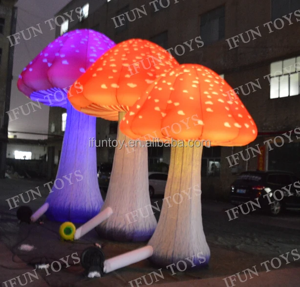 mushroom2021063001-4.jpg
