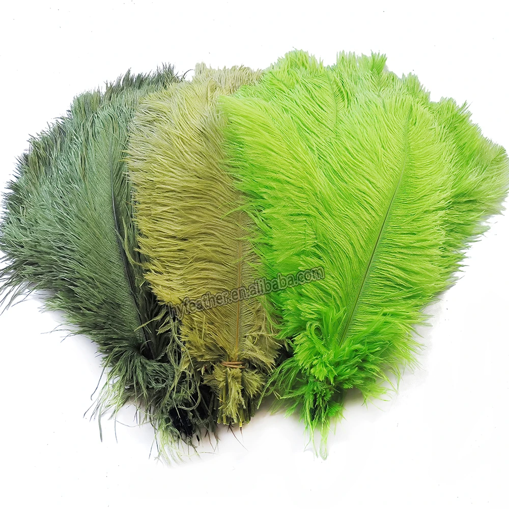 Wholesale China colored single ostrich feather for party