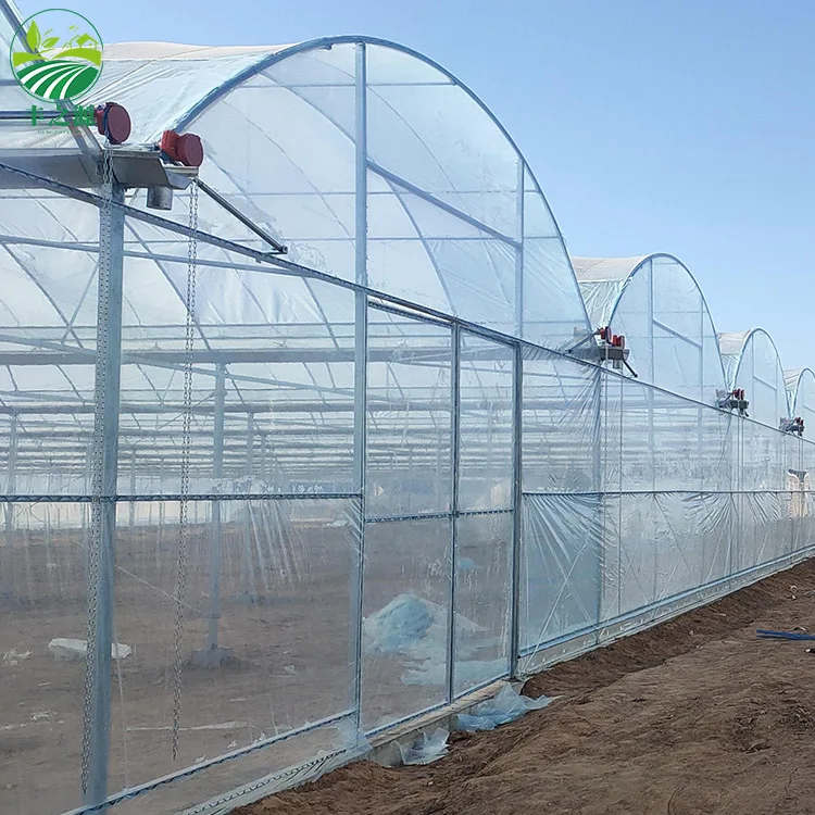 Сельское хозяйство многопролетные арки пластик посадки помидор и клубника теплице