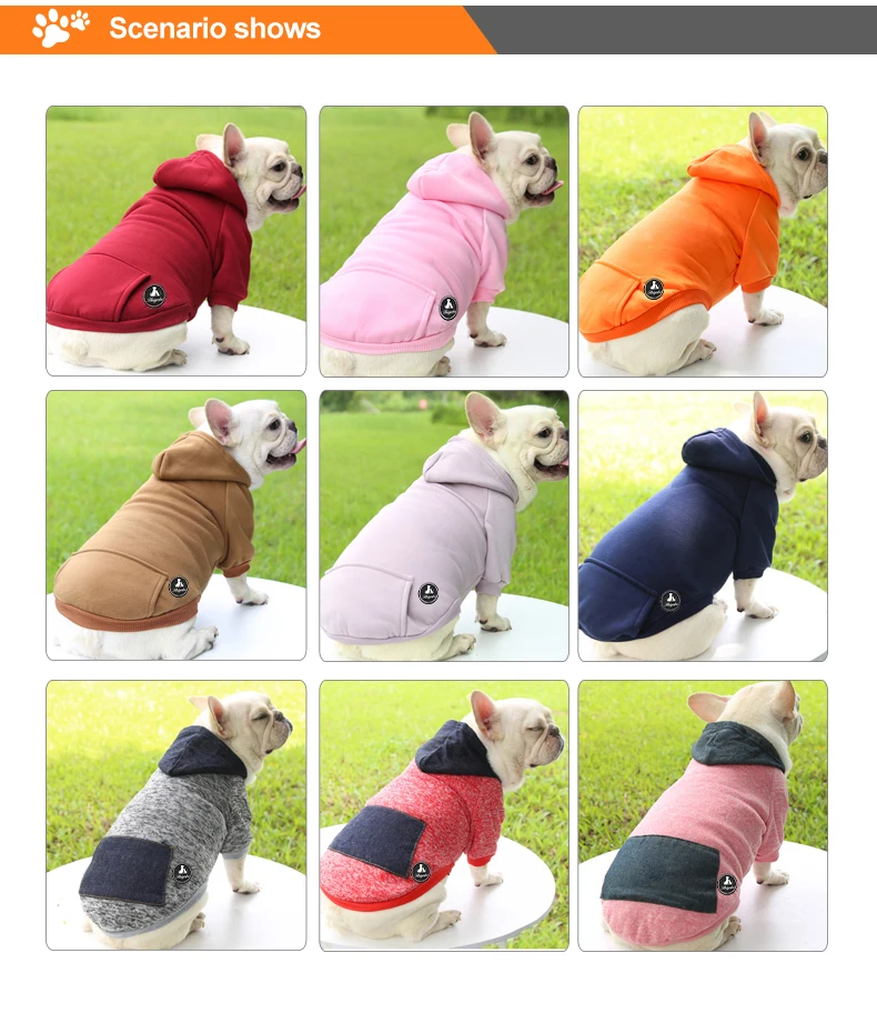 5dog clothes.jpg