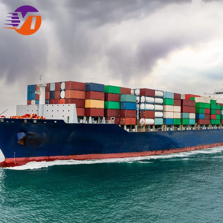 Best Door to Door International Sea Freight Sea Logistics Service from China Shenzhen to Usa Uk De Mexico