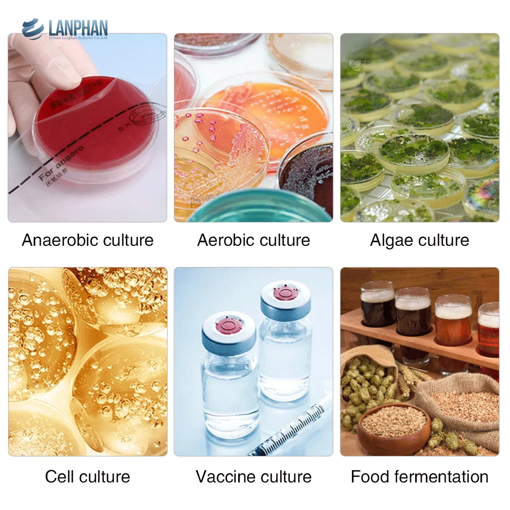 Laboratory small glass airlift bioreactor fermenter 3L 5L 10L bench top bioreactors