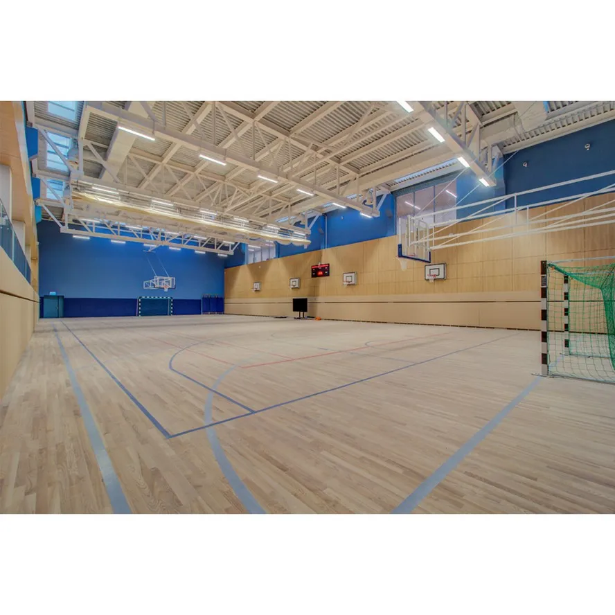 Steel Frame Building Prefabricated Gymnasiums Indoor Basketball Court Steel Structure Sports Hall