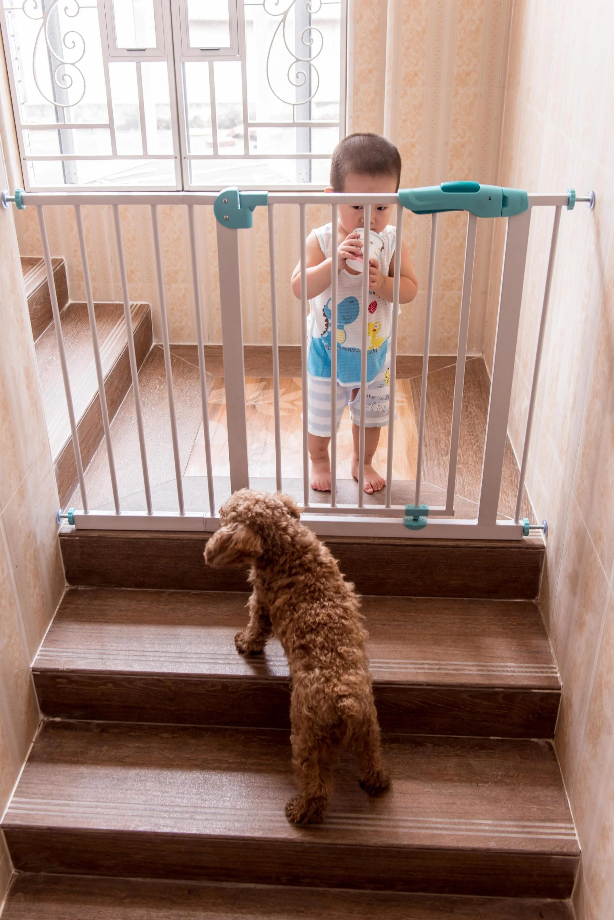 Other Baby Supplies extra wide safety auto close baby gate without drilling