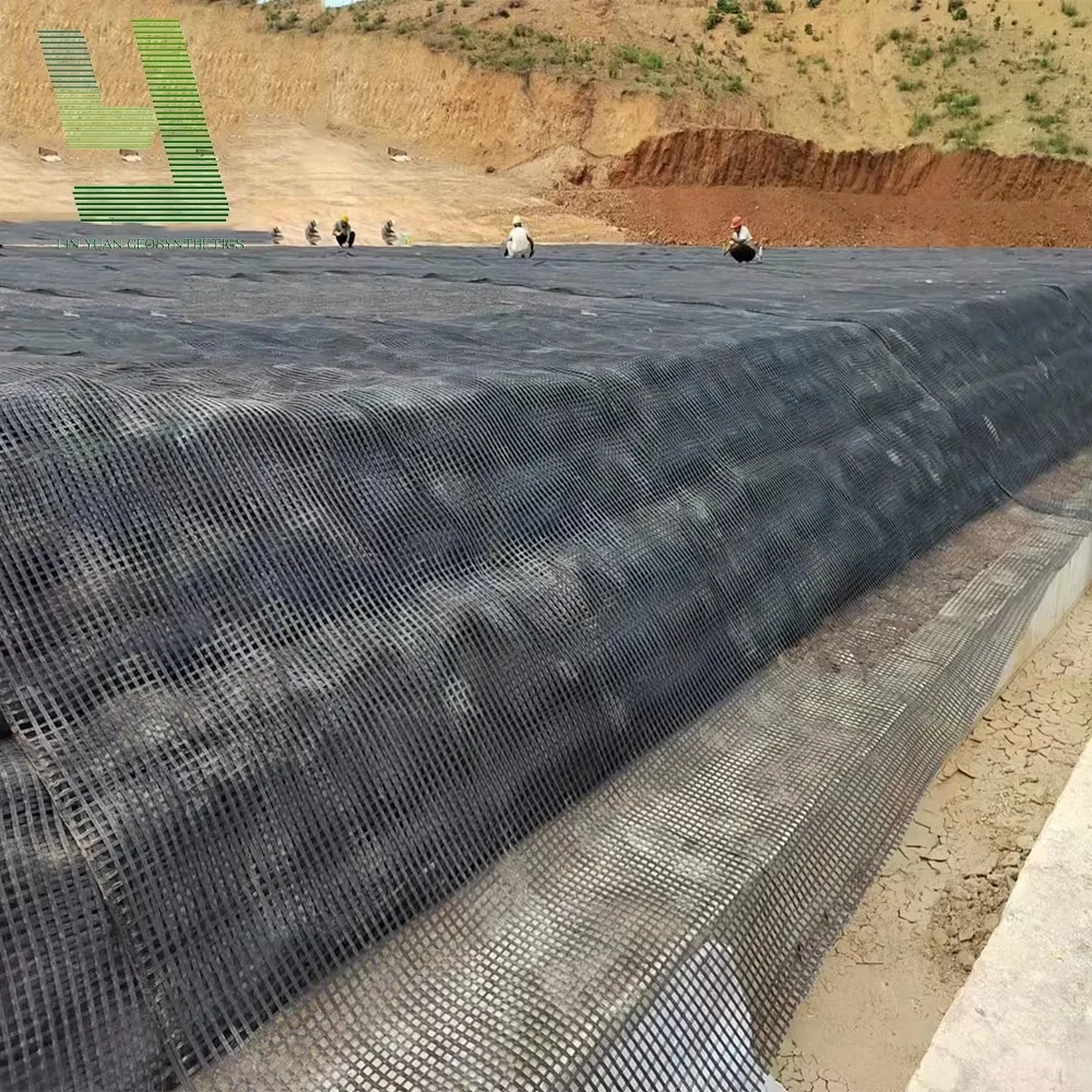 China factory price Fiberglass Geogrid Polypropylene Biaxial Geogrid Prices For Road Construction