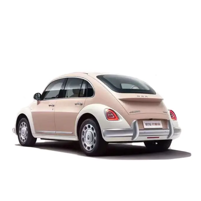 2024 New Energy Vehicles Ora Ballet Mini Electric New Energy Vehicle Small EV Cars