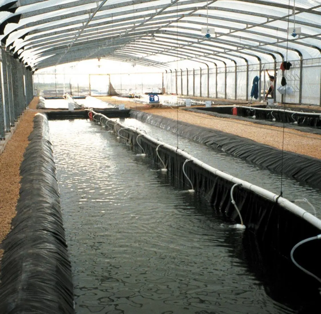 
Aquatic Products waterproof tarpaulin for biofloc fish shrimp seafood farming 