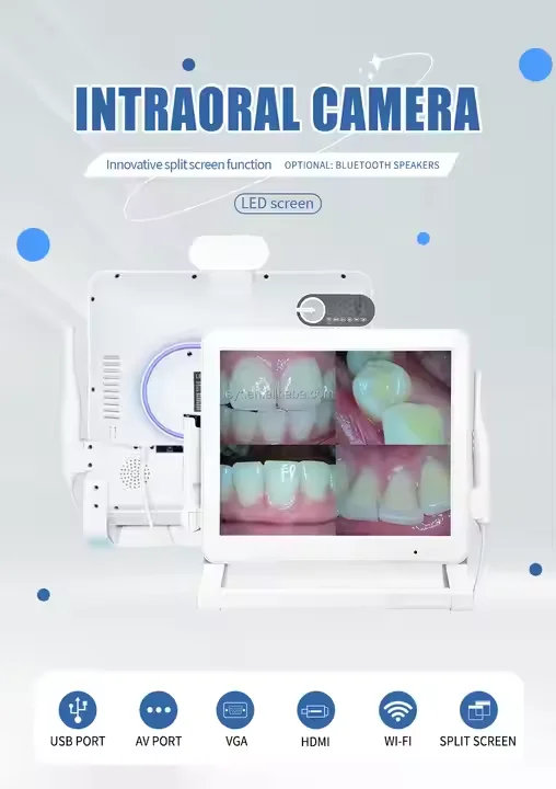 China Healthy dental products Home HDMI VGA USB HD Intraoral Camera with Monitor