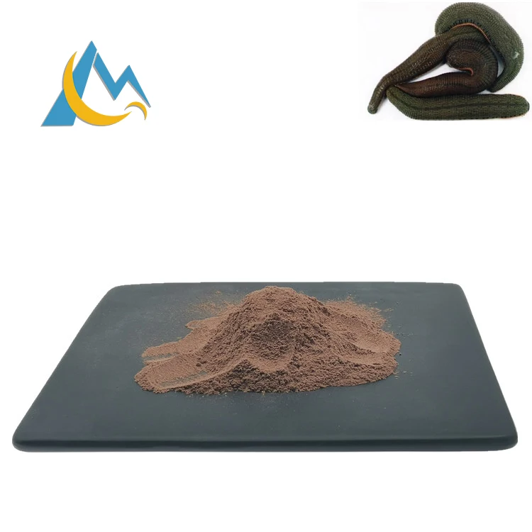 
Medicinal Leeches for Sale Natural Leech Extract Hirudin Powder Hirudin 