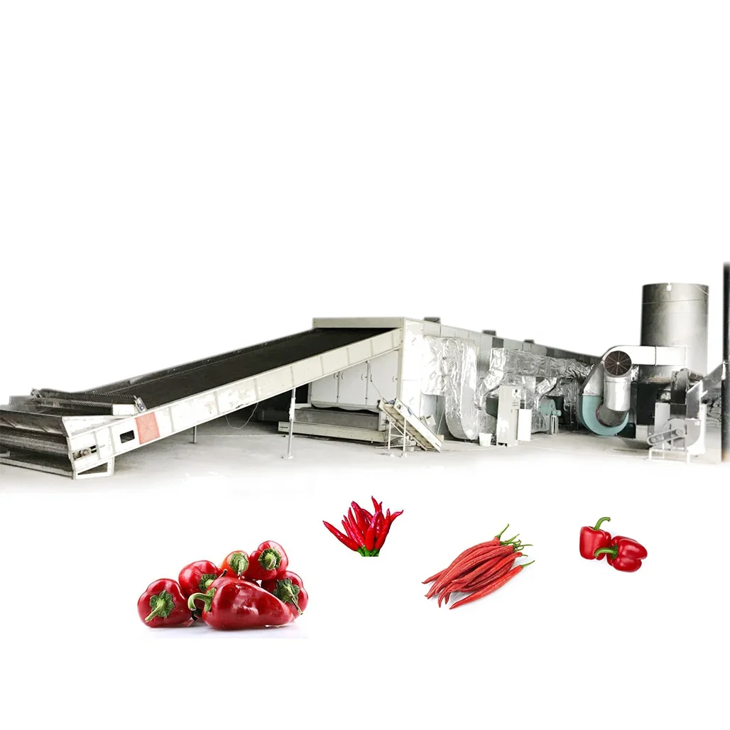 customized 10T to 30T capacity  hot pepper Chili  dryer  machine for with heat pump for  commercial vegetable dring oven