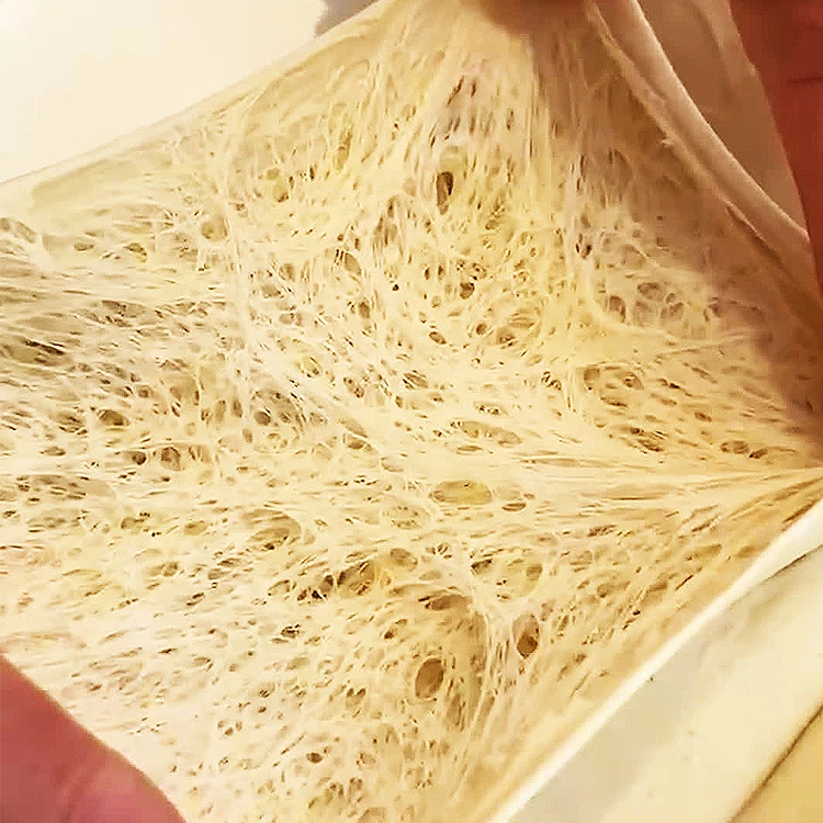 Chinese supplier active instant dry yeast powder 500g 450g 400g 125g 100g 90g 12g 11g 10g 5g for bread dough fast fermentation