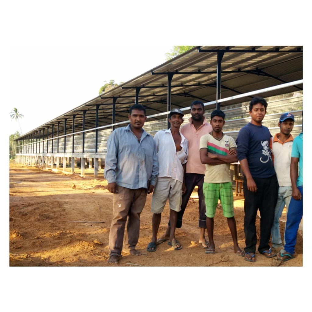 Hot dip galvanized chicken cage 2.15m 96birds 120birds 160birds for egg chicken