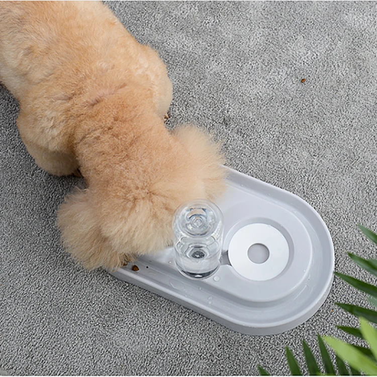 Amazon Top Seller Smart Feeders Pet Bath Slow Food Feeder For Dogs Pet Dog Cat Automatic Feeder Bowl For Dogs Pet Bowls