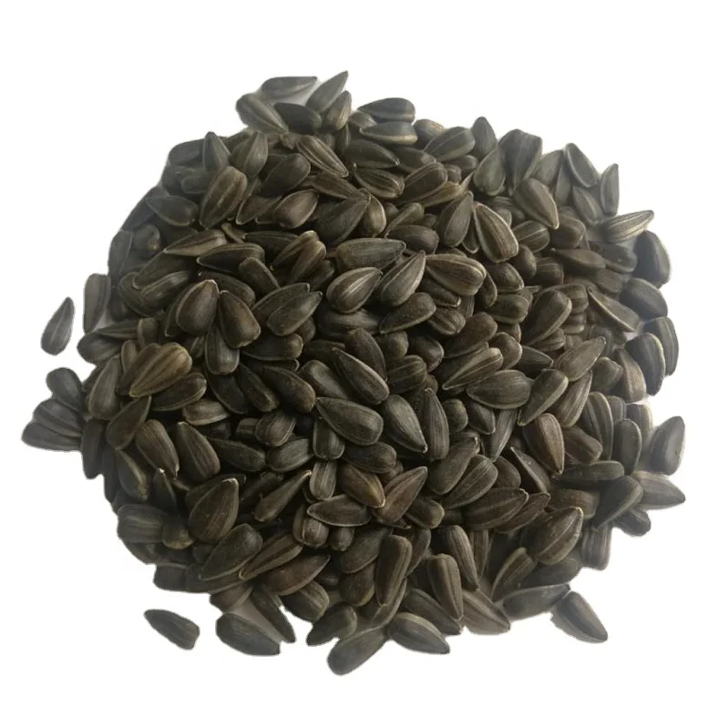 Высокое качество семян черного подсолнечника