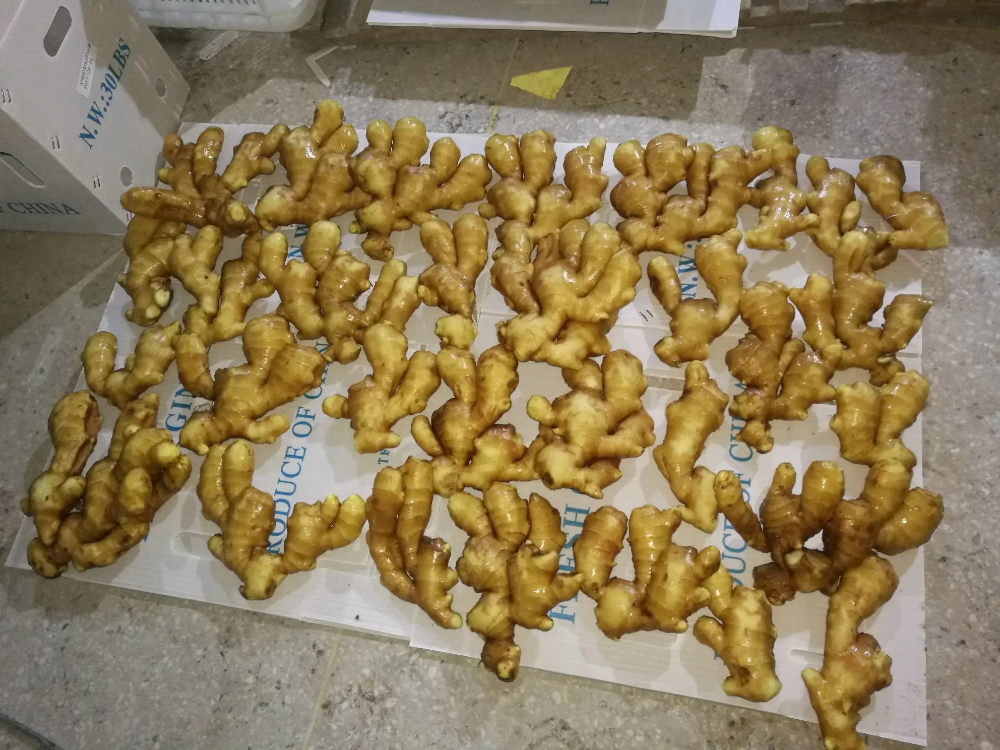 2021 new crop Air Dry Ginger exporter to  Europe/Russia