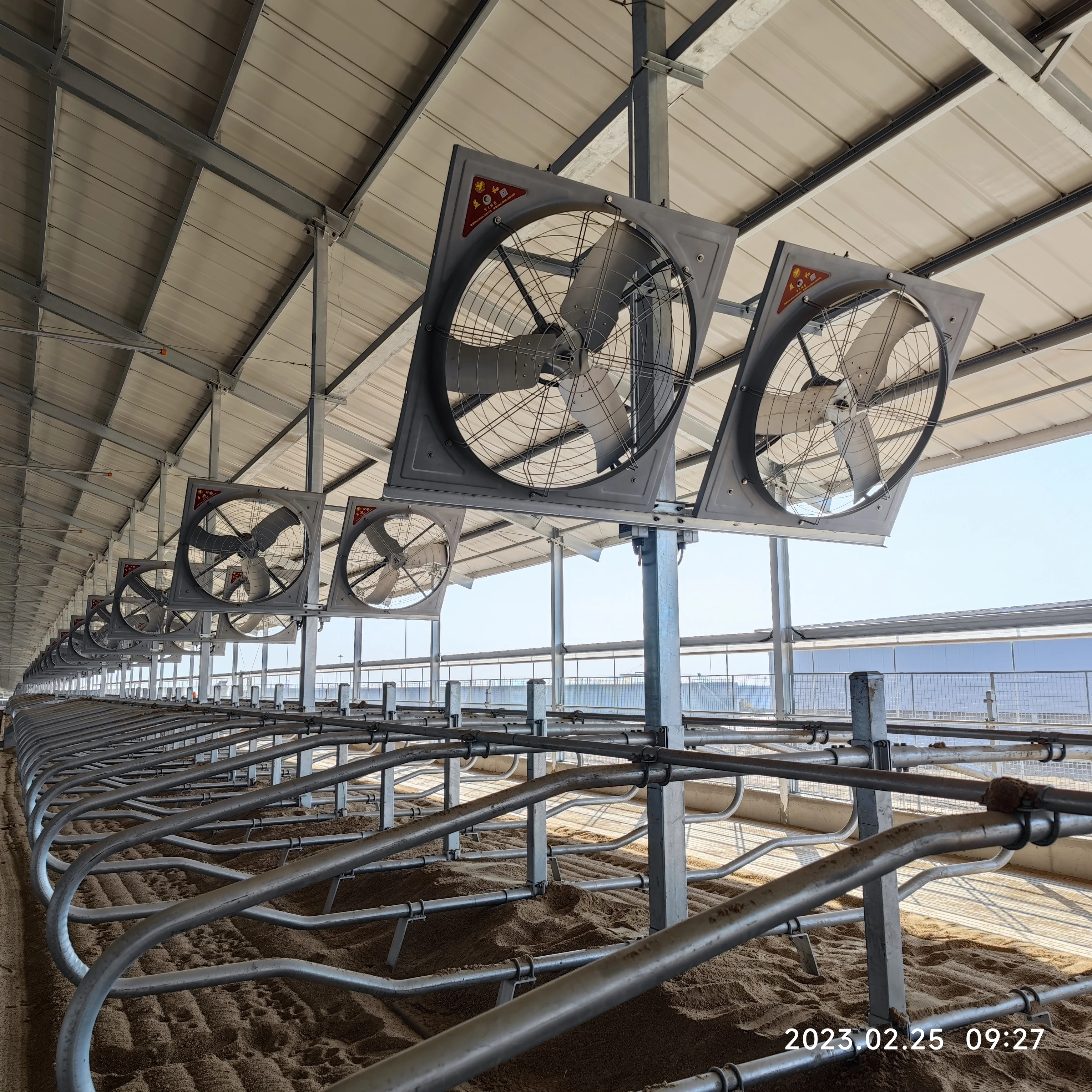 Steel farm house steel structure building for breeding horse goat cow