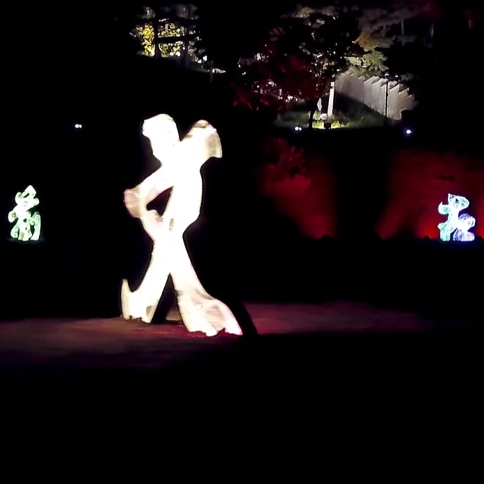 Christmas decorative grand light holiday lighting Outdoor Color Changing Optical Fiber Light