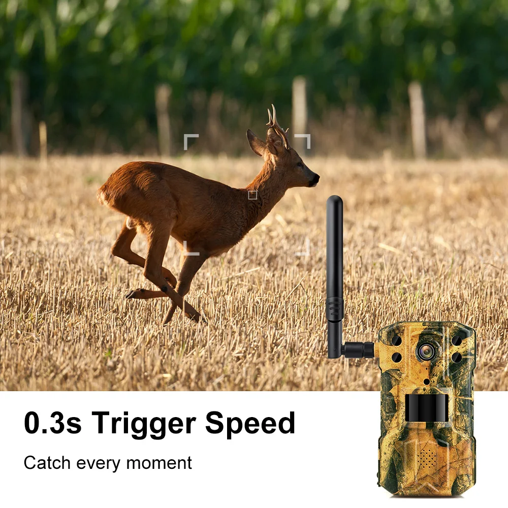 Sms Mms Trail Camera Guangzhou Hunting Trail Camera Hunting Camera With App