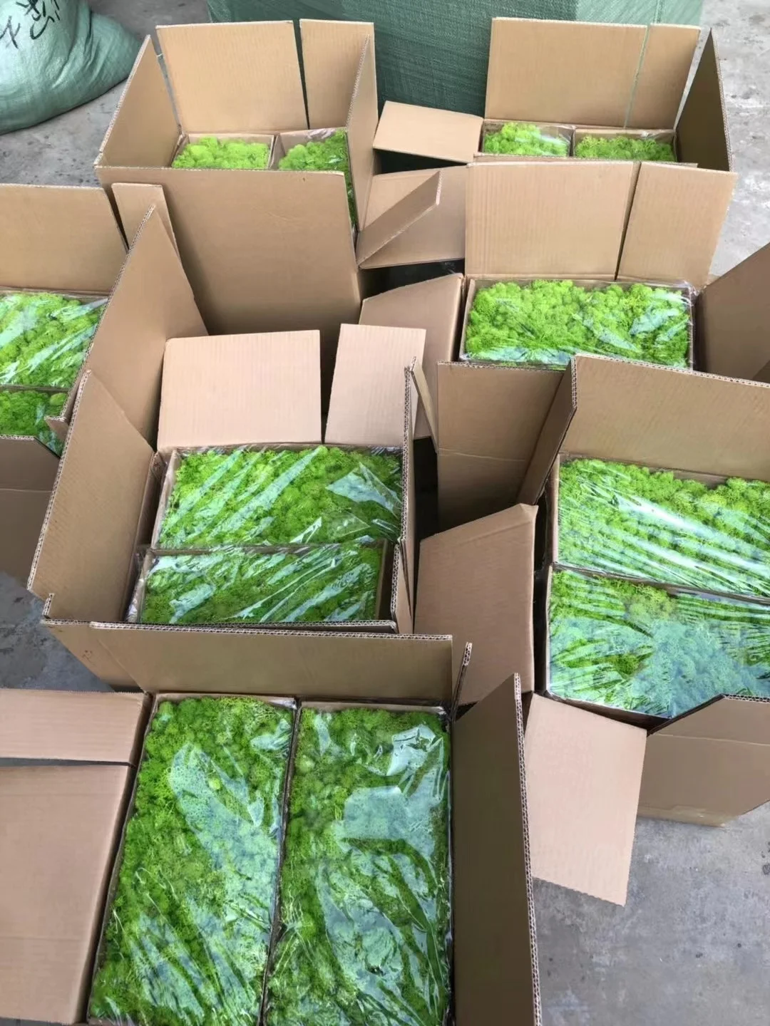 Green Moss Decorative Preserved Artificial Wall Custom-made