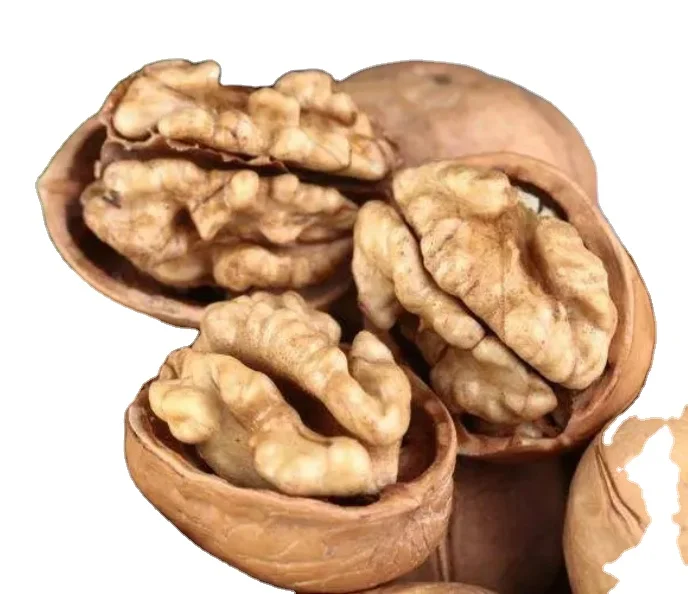 Wholesale a Large Hight Quality Organic Walnuts and Walnut Kernels Halves From Xinjiang