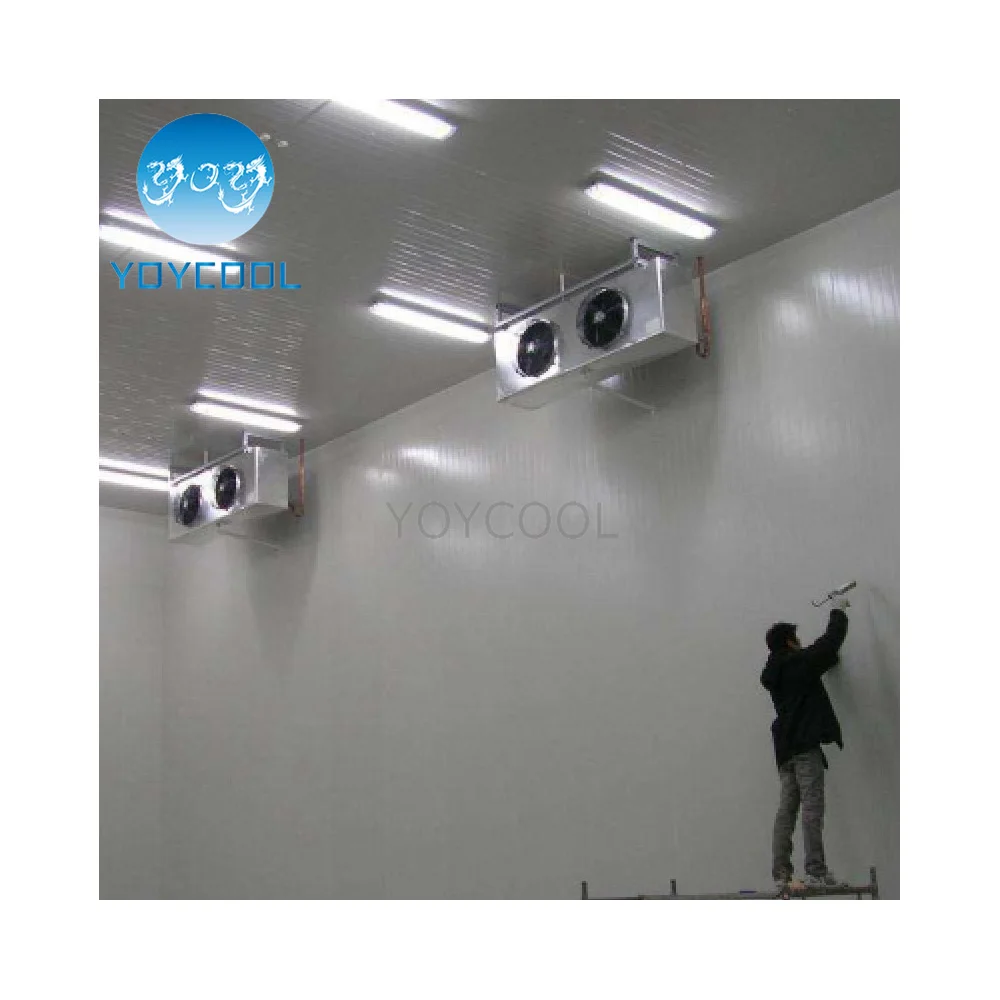 mini room cooler Panama cold storage room for Donkey meat storage