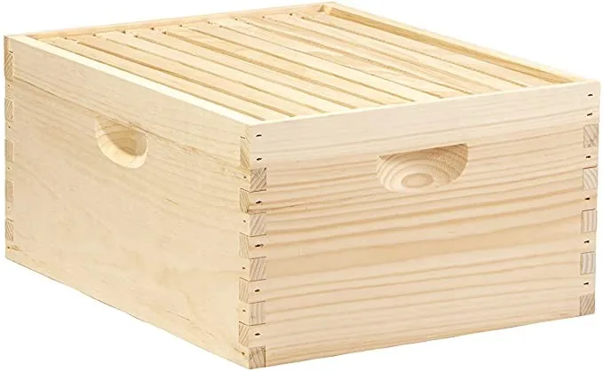 10 Frame Two Layer Bee Box Langstroth Beehive