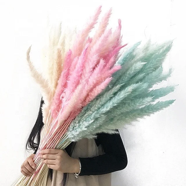 
Wholesale 100% natural Yunnan dried pampas grass decorative flowers 