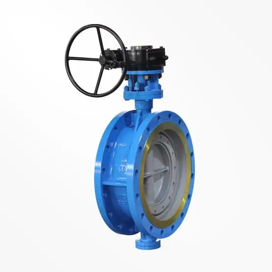 Standard Concentric Type Soft Seal Butterfly Valve Worm Gear Rubber Seated Double Flanged Butterfly Valve Wafer Butterfly Valve