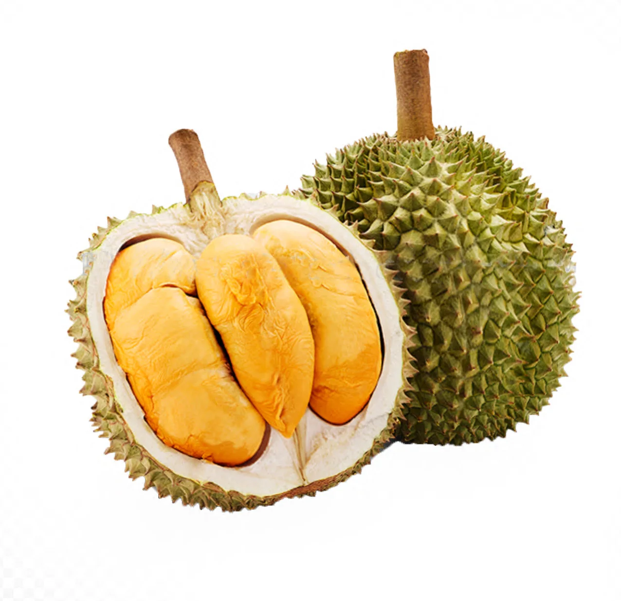 Attractive  Pricing Best Seller Malaysia Black Thorn Premium Grade With Orange Color Delicious Fresh Whole Fruit Durian