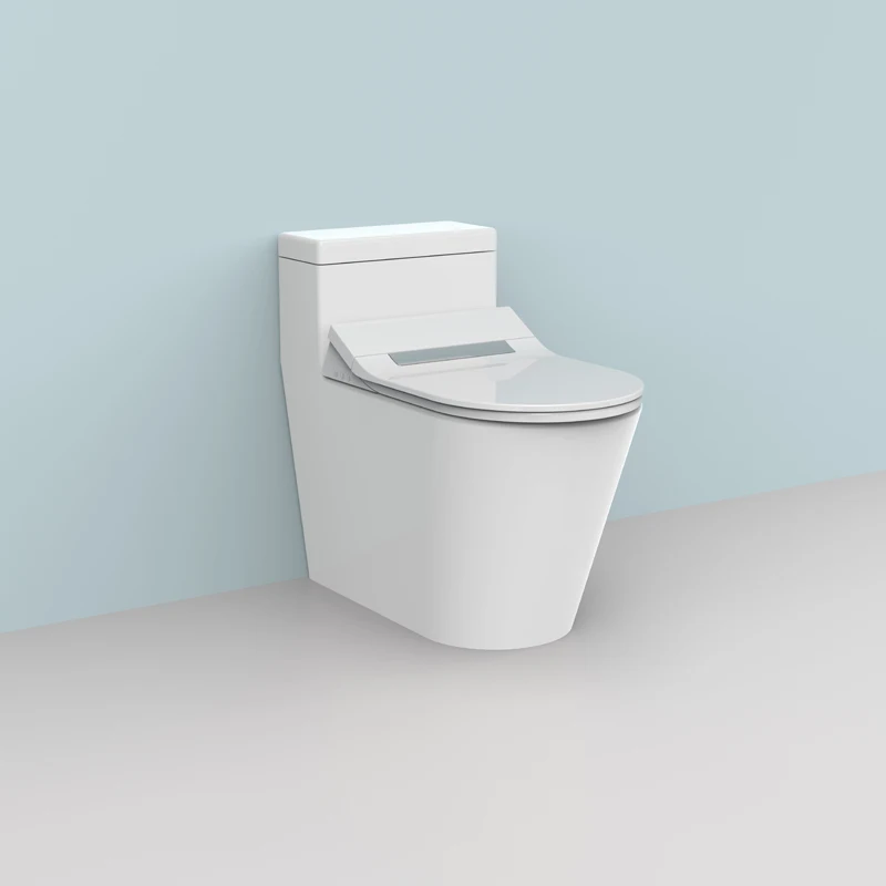European Standard Bathroom Buttocks Washing Smart Toilet Seat Cover, Toilet Seats, Electronic Toilet Seat
