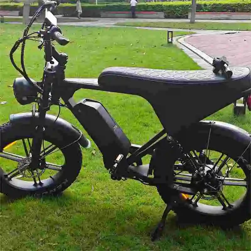 1000W Electric Bike with Steel Frame V8 Pro Plus 15Ah 30Ah 24'4 48V Full Suspension Electric Bike Electric Sports Bike