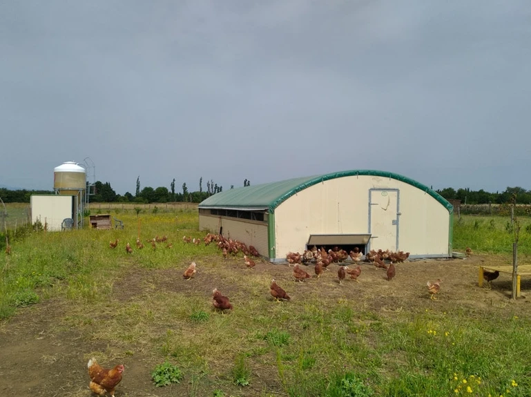 Agricultural Greenhouses farming snail tunnel Greenhouse plastic film Cultivation Shed Skeleton tomato greenhouse for sale