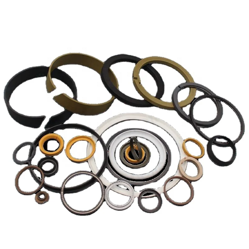 Factory customized Hydraulic PTFE UHMWPE PEEK Spring Energized Lip Seal Spring