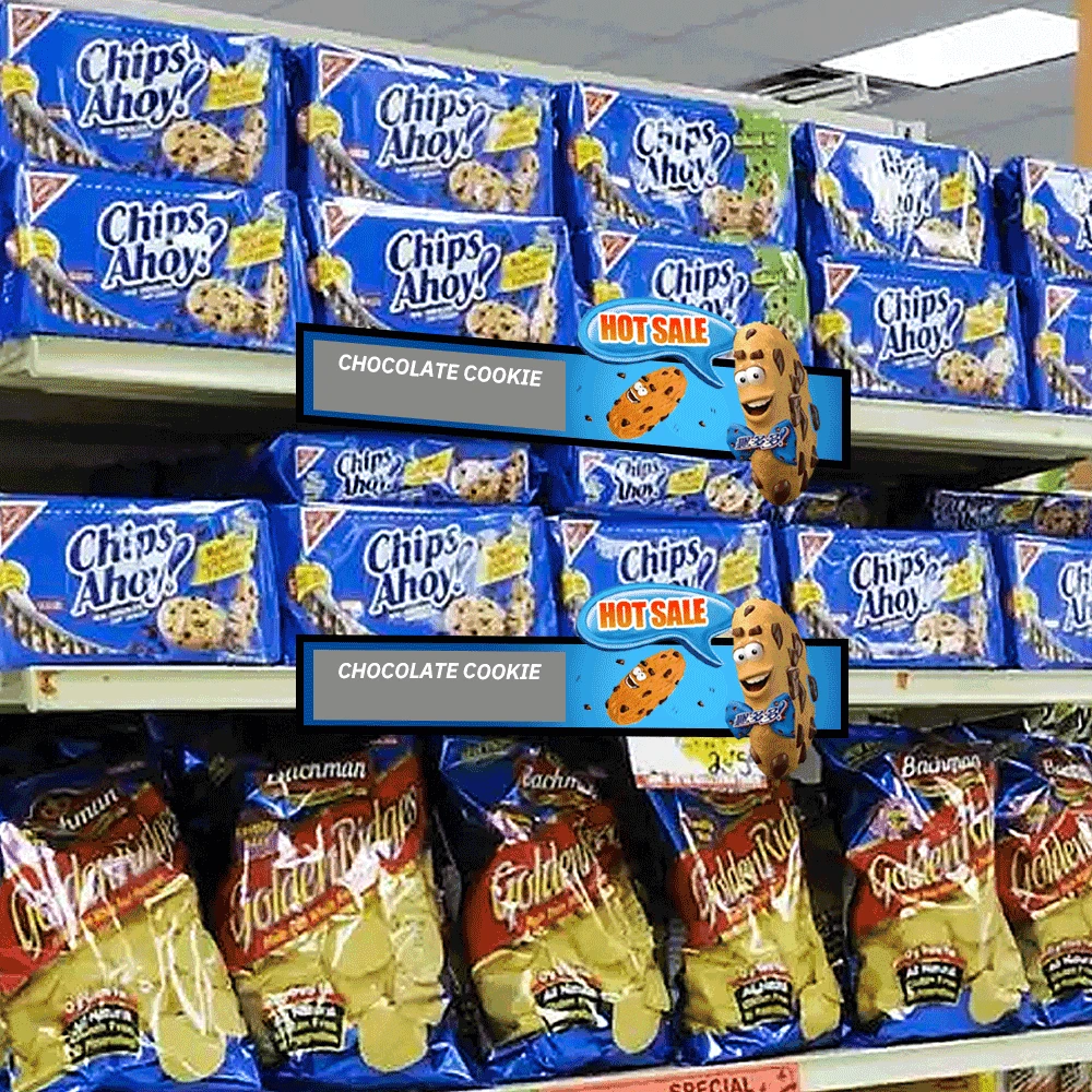 Retail Digital Signage Pos Flexible E Ink E-Paper Shelf Edge Segment Display For Brand Promotion Advertisement