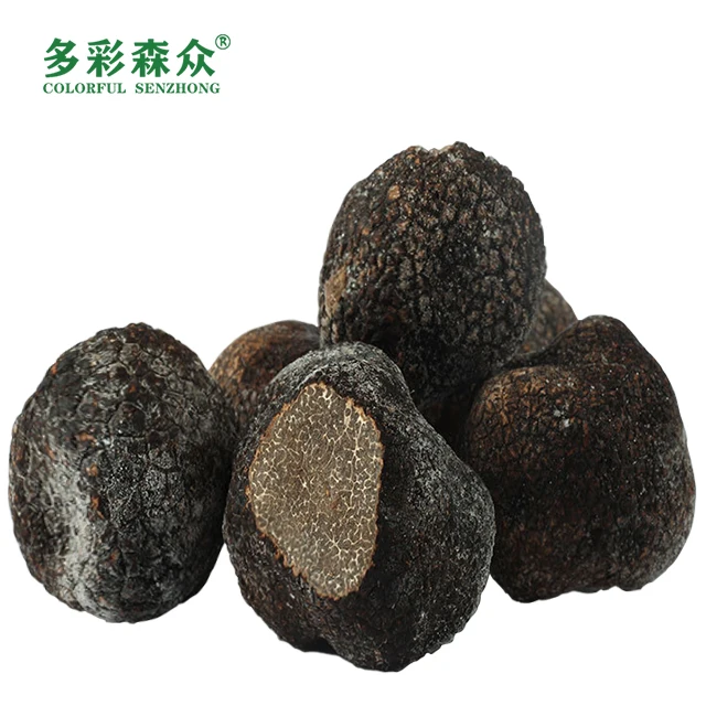 Song lu Health food grade mushroom black truffles Wholesale wild black truffle in Yunnan, China frozen truffle