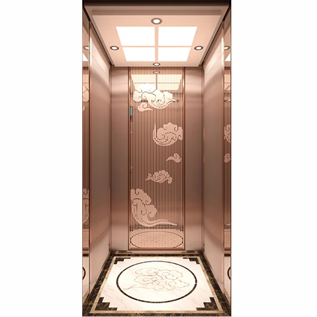 china factory price 2023 year household 3 person small home elevators 450kgs capacity with factory price.