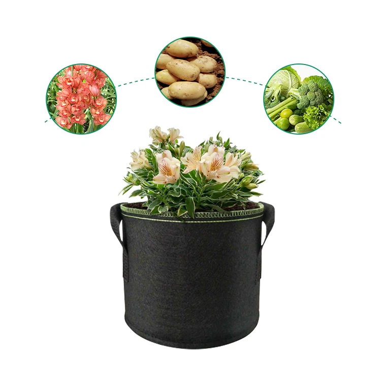 Mingyu wholesale custom low cost 5 / 7 / 10 Gallon breathable thicken fabric plant pots with handle for tree farms
