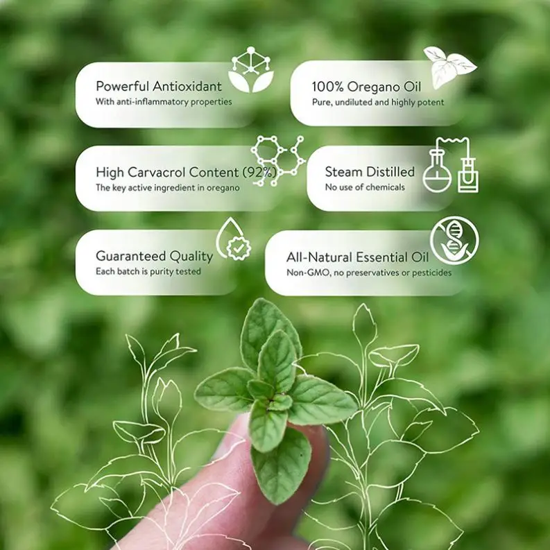 SUNI Private Label Organic Natural Oregano Oil Improve Health Oregano Oil Drops 100% Pure Wild Oregano Oil Liquid Drops