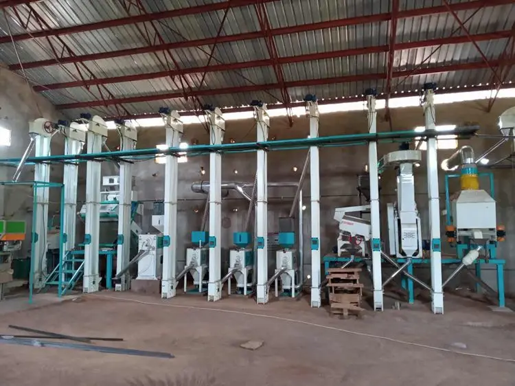 Whole Ste Combined 1t/H Rice Milling Machine Rice Mill Machinery