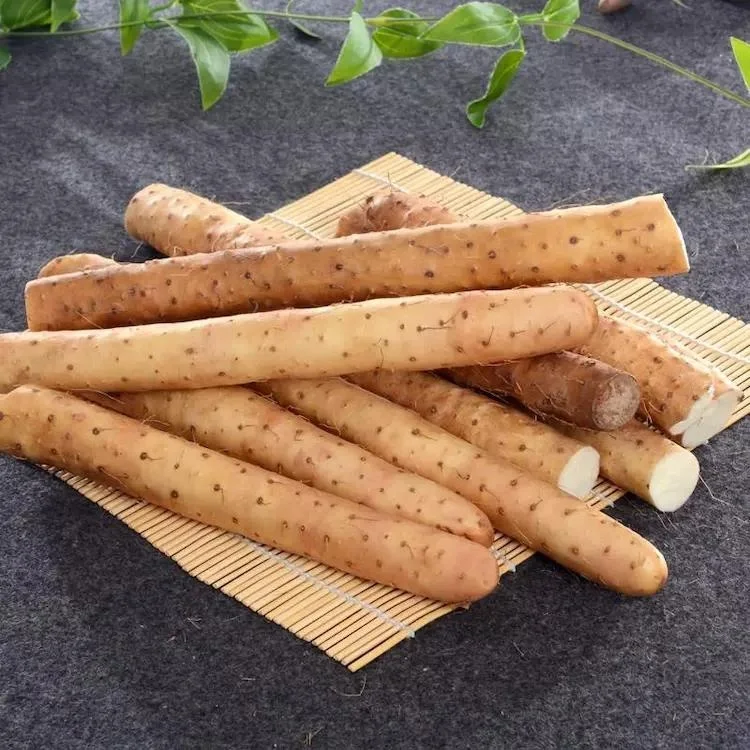 high quality Chinese fresh yam for wholesale