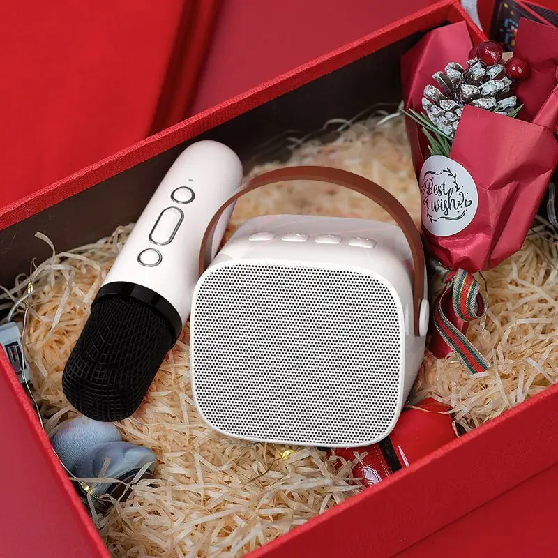 Portable audio sound box Player system With Double amplifier Wireless Microphones Party ktv bt Speakers Mini Karaoker For Kids