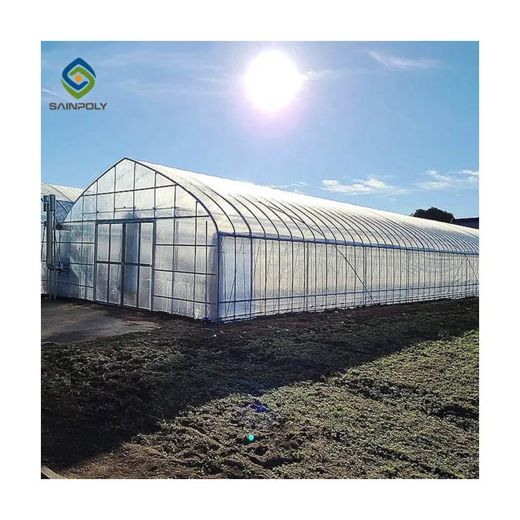 
Agriculture multi-span Invernadero arch plastic film greenhouses for sale 