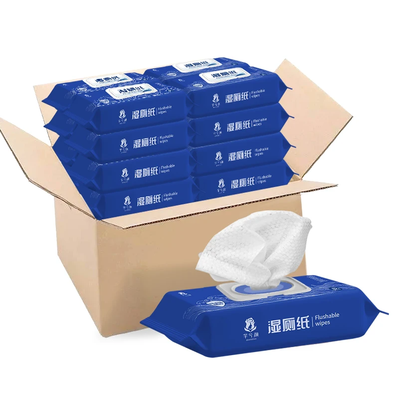Wholesale 100% biodegradable natural eco-friendly women toilet wet paper tissue cleaning dude flushable wipes