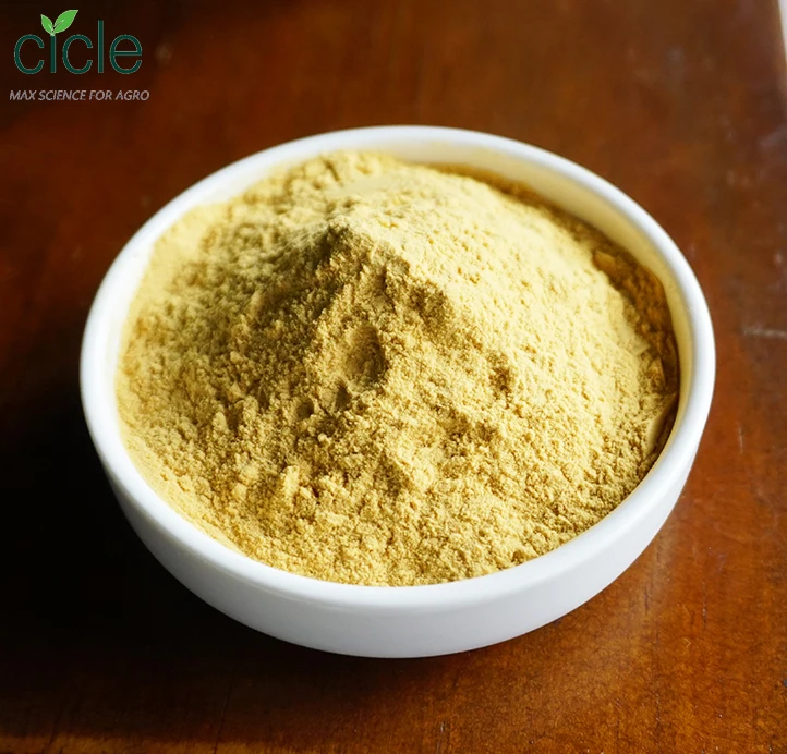 Folic Acid Powder Folic Acid Food/Feed  Grade Cas: 59-30-3 Vitamin B9 Powder
