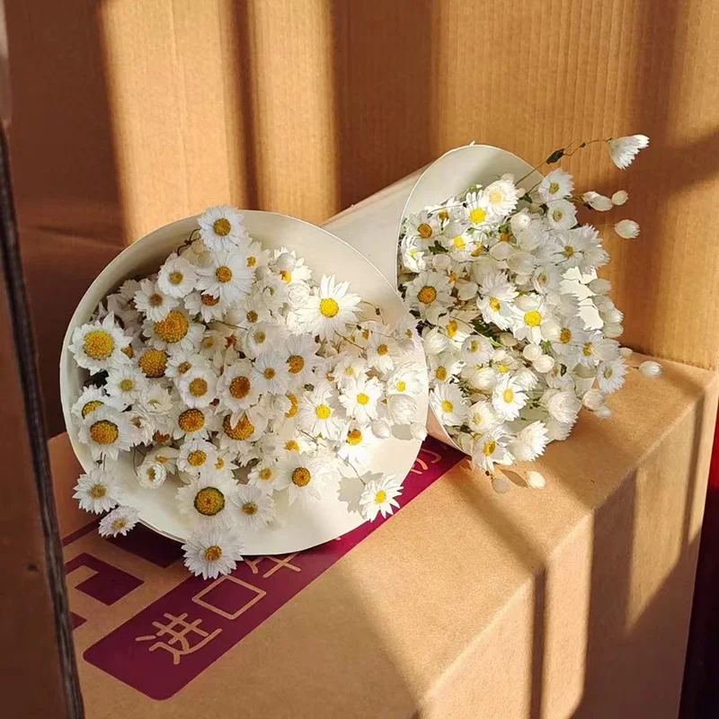 Yunnan Wholesale Dried Flowers Bouquet Pink White Rhodanthe Chrysanthemums Ludanniao Daisy Flower Dried Rhodanthe