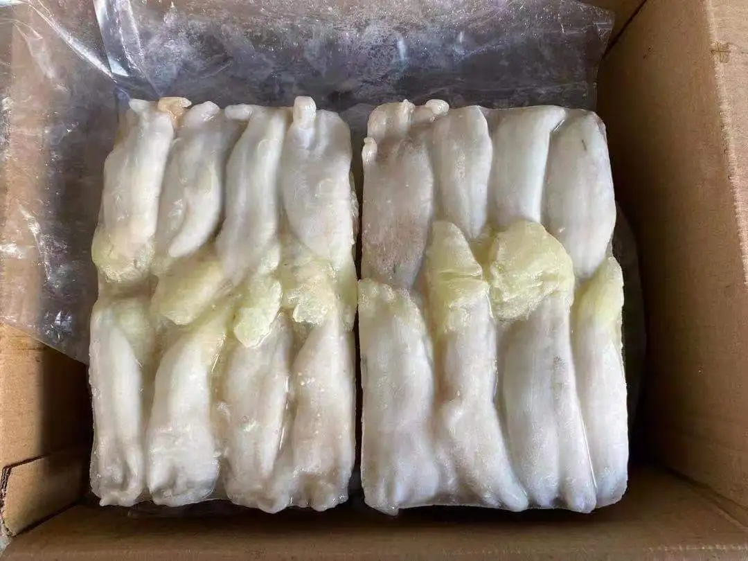 L91 Hot Selling Fresh Illex Squid Eggs Large Squid Eggs