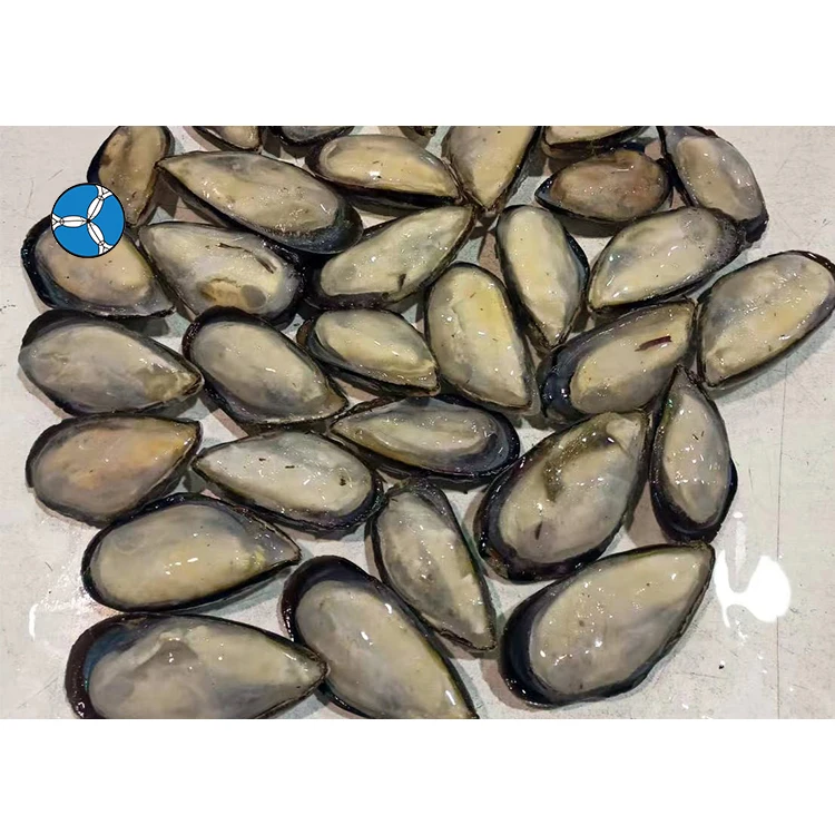 Quality Shellfish IQF Frozen Half Shell Mussel meat Wholesale