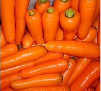 Chinese Hot Sale  Top Grade Low Price  Fresh Carrots