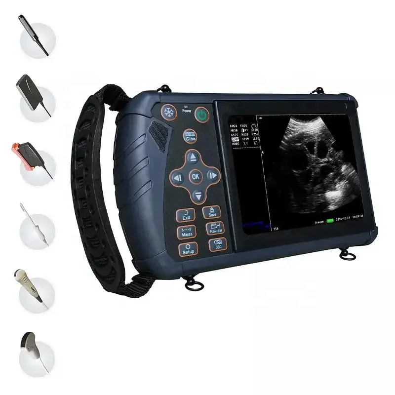 EUR VET Available Cat/dog Pregnancy Ultrasound Canine Abdominal Scanner Portable Feline Ultrasound Machine For Dogs