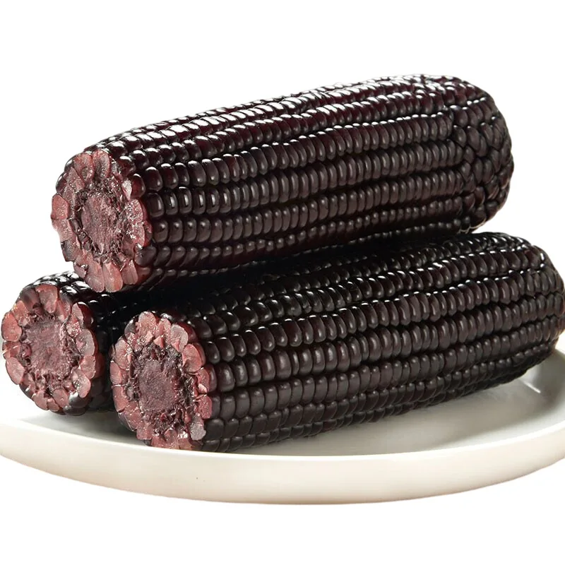 Замороженная сладкая кукуруза IQF, новый урожай, недорогая китайская замороженная сладкая кукуруза в Cob с BRC HACCP HALAL